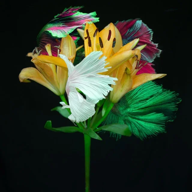 “Kaleidoscope 6” Contemporary Botanical Color Photograph