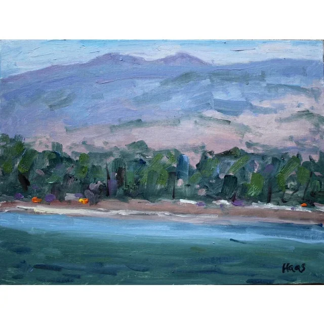 “Virginia Lake #2” Contemporary Plein Air Landscape Oil Painting by Lisa Haas Eckle