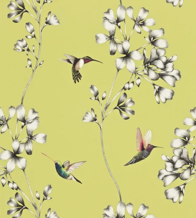 Amazilia Wallpaper – Gooseberry – HAMA111061 – Harlequin