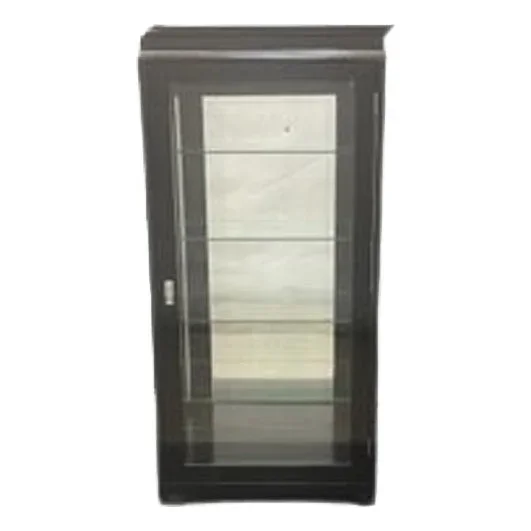 Art Nouveau Black Display Case, 1910s