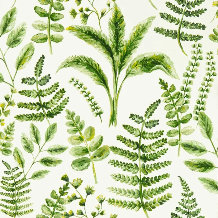 Bracken Wallpaper – Forest – Clarke & Clarke