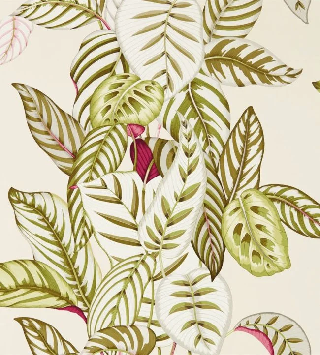 Calathea Wallpaper – Olive – DGLW216631 – Sanderson
