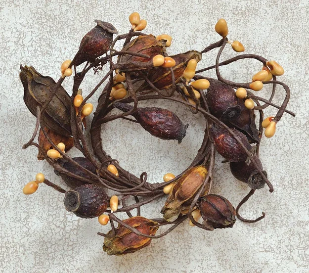 Dried Rose Hip Ring