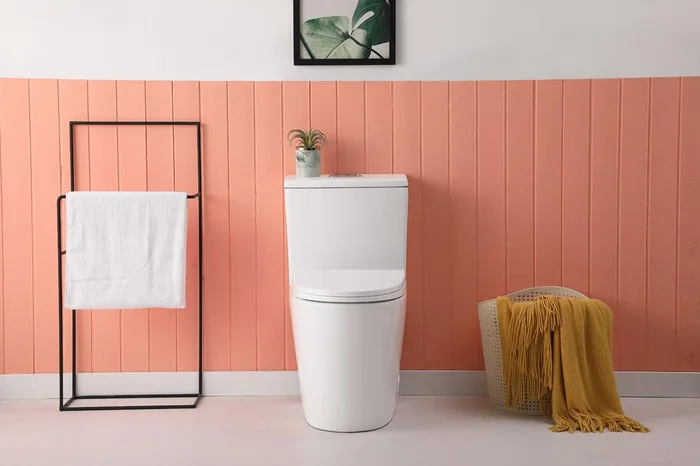 Elegant Furniture & Lighting – Winslet One-piece elongated Toilet 28x16x29 in White – TOL2002