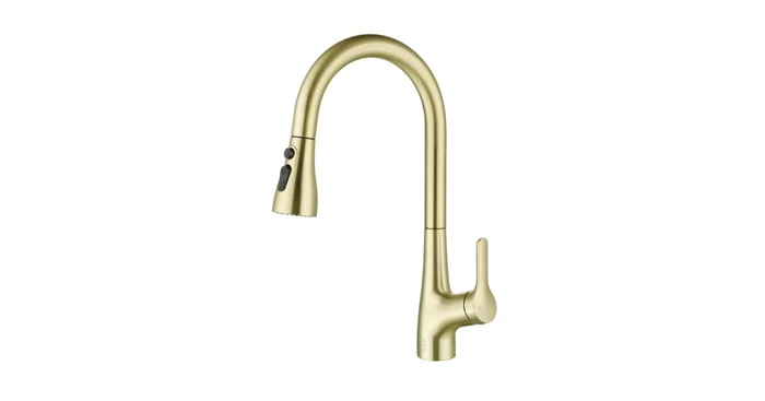 Elegant Lighting Andrea 1.8 GPM Single Hole Pull Down Kitchen Faucet