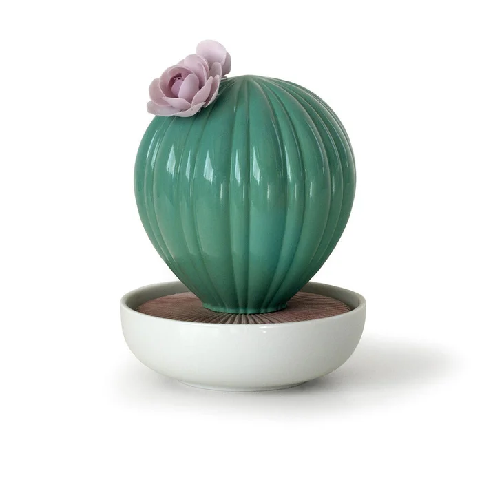 Ferocactus Cactus Diffuser
