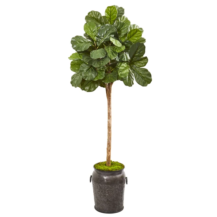Fiddle Leaf Fig Tree Artificial Greenery in Metal Planter 6ft Tall – Nearly Natural
