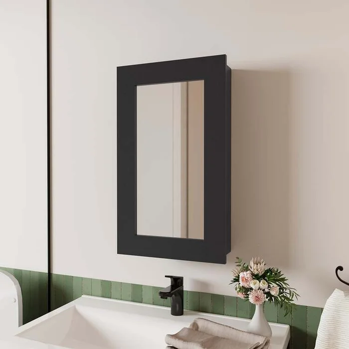 FM FURNITURE Parks medicine cabinet with mirror included,black