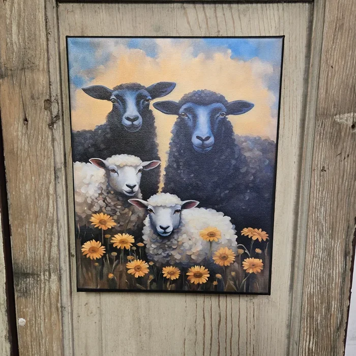 Four Sheep Canvas Print