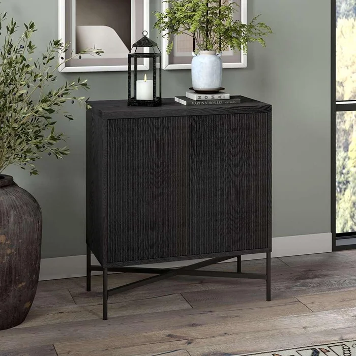 Hudson & Canal – Brighton 28in Wide Rectangular Accent Cabinet in Black Grain – AC1871