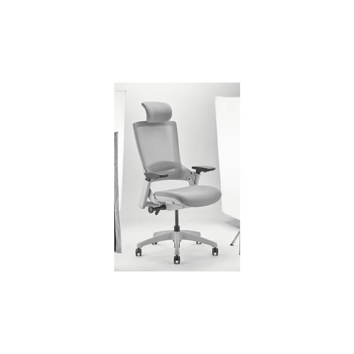 Lilola Home Luke Gray Office Chair with Mesh and Headrest
