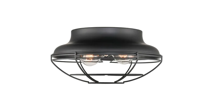 Millennium Lighting 2 Light 12″ Wide Outdoor Flush Mount Bowl Ceiling Fixture