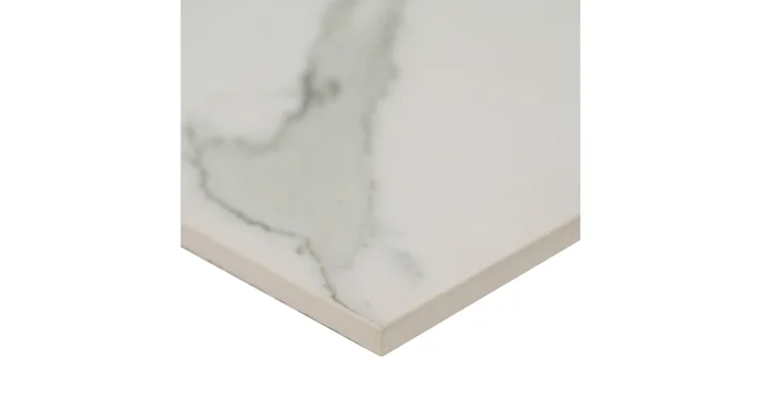 MSI Sample Only of NREG2424