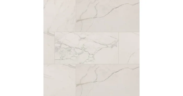 MSI Sample Only of NREG2448