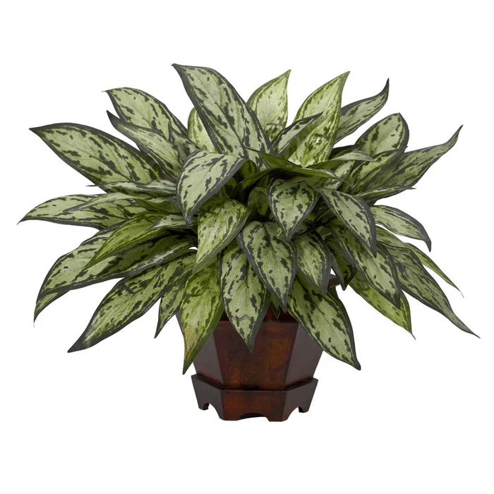 Silver Queen Silk Plant in Hexagon Vase, Polyester Material, 18x16x14 – Nearly Natural