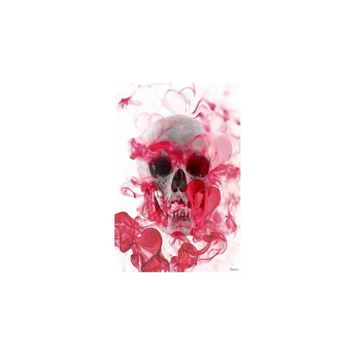 Skull 2 by Parvez Taj Painting Print on Wrapped Canvas