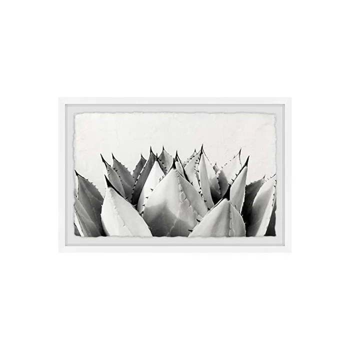 Sweet Succulents II Framed Painting Print Art Decorative Wall – Marmont Hill