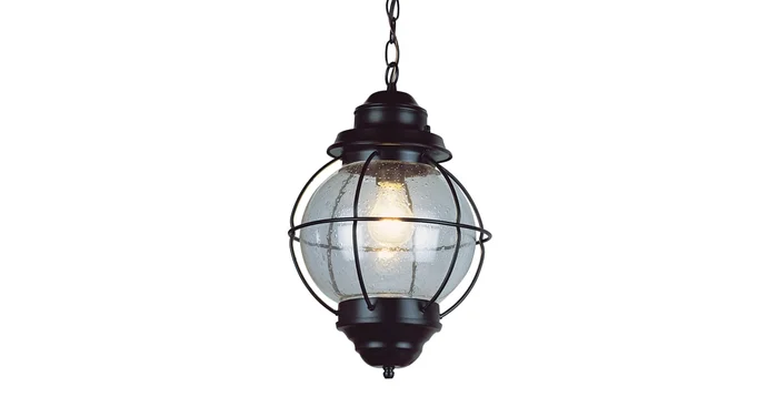 Trans Globe Lighting Single Light Down Lighting Medium Outdoor Pendant from the Outdoor Collection