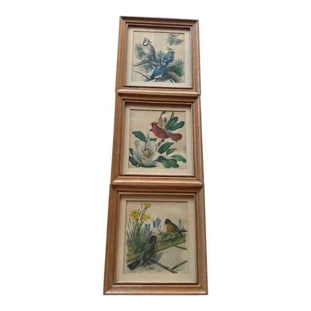 Trio of Framed Mid-Century Bird Prints by Roger Tory Peterson